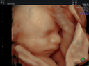 5DHDlive_4.webp