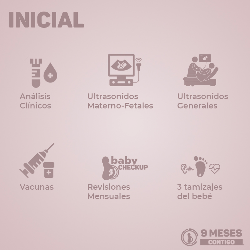 PAQUETE EMBARAZO INICIAL iconos.webp
